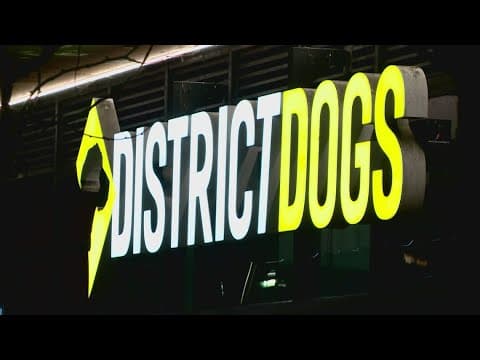 District Dogs employee fired after allegedly striking and killing dog