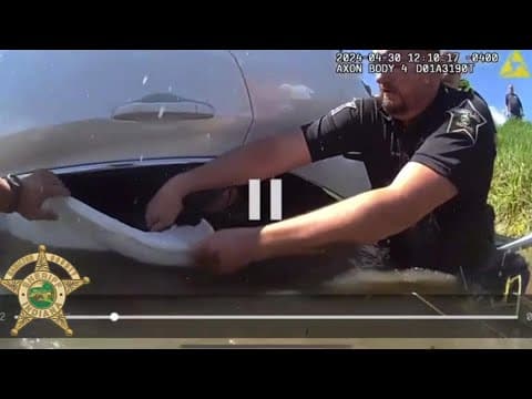 WATCH: Hamilton County deputies, DNR officers rescue driver in submerged vehicle