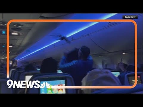 Pigeons delay Delta flight over the weekend