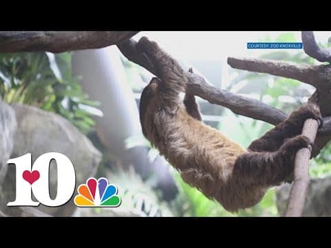 Zoo Knoxville announces new CEO