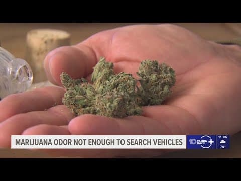 Florida appeals court says law enforcement can't search cars based only on the smell of marijuana