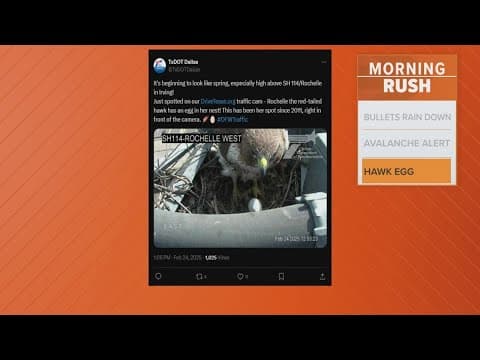 Red tail hawk returns to TxDOT nest