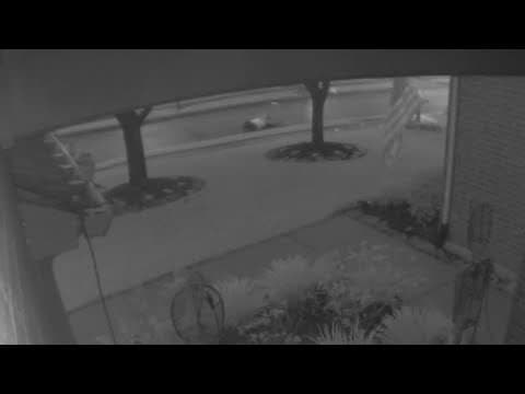 After a vicious attack, walking the dog will never be the same for this Cinco Ranch family