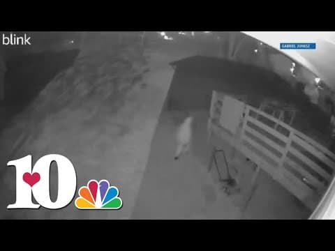 Juvenile, 18-year-old arrested in string of auto thefts after shooting between suspect and deputies