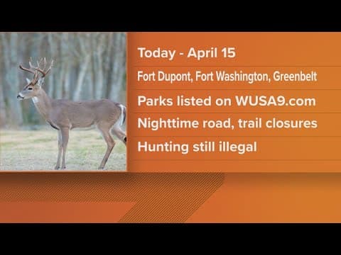 NPS to conduct deer hunts to reduce population at some DC, Maryland national parks