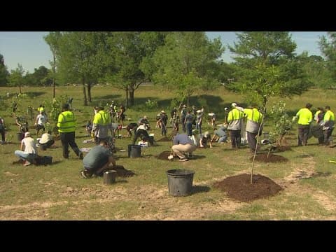 2,500 new trees planted at northwest Houston park