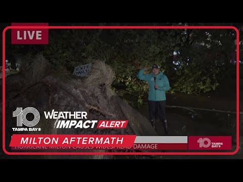 Uprooted trees, damages in Davis Islands from Hurricane Milton
