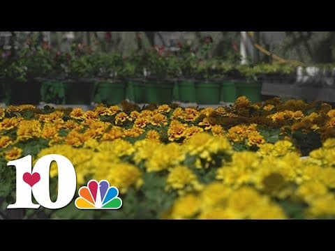 Here's how long to hold off before planting spring flowers
