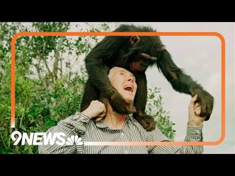 Dr. Jane Goodall, chimpanzee researcher and climate activist, dies at 91