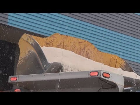 Where does the salt go after the snow melts?