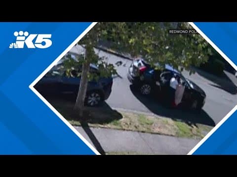 Organized crime group targeting people walking in Redmond