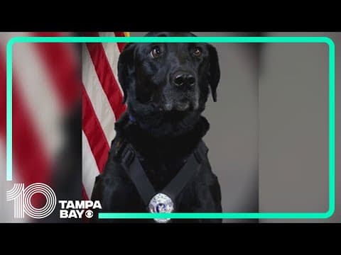 Bradenton Police K9 retired after almost 6 years with the department