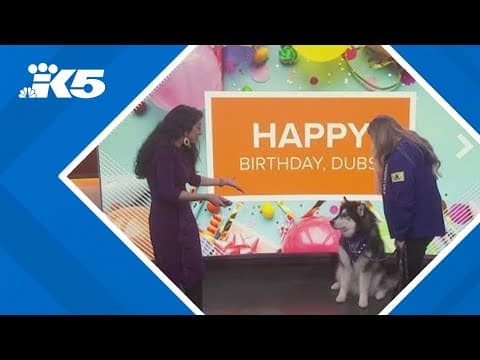 Happy Birthday Dubs! UW Mascot turns 7 years old