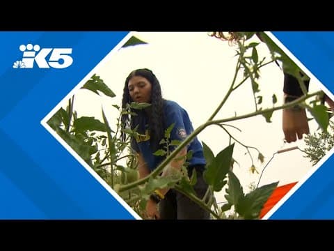 Young offenders serve time in garden
