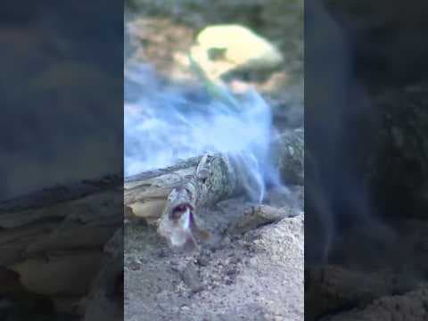 How to celebrate safely on a hot, dry Fourth of July #fire