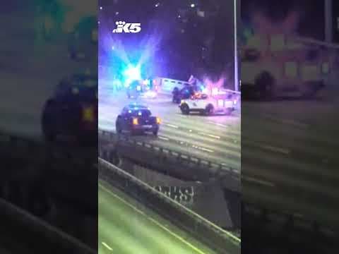 Teen fleeing car crash jumps off of Ship Canal Bridge to his death