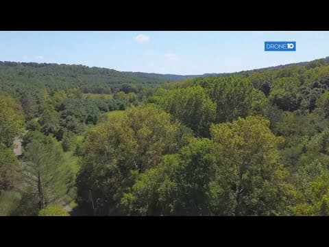 Joy Valley Nature Preserve: A new Ohio landmark protects ancient forests and rare biodiversity