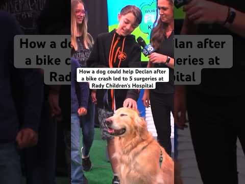 How a dog would have helped Declan after a bike crash led to 5 surgeries at Rady Children's Hospital