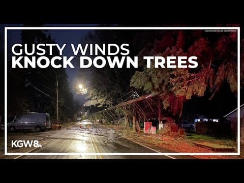 Tree falls in Vancouver, power outages reported around western Oregon