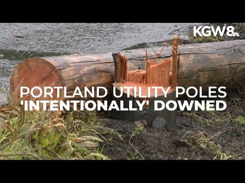 Police say Portland utility poles may have been intentionally cut down