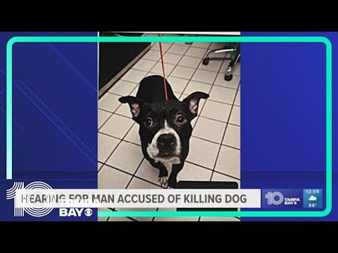 Protestors gather outside courthouse during