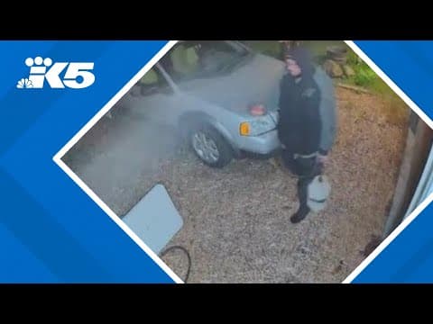 Surveillance footage catches suspect setting house and car on fire