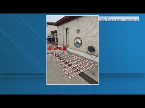 Coast Guard busts illegal fishing operation in the Gulf