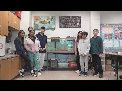 Environment Matters | 6th graders help raise trout in the classroom