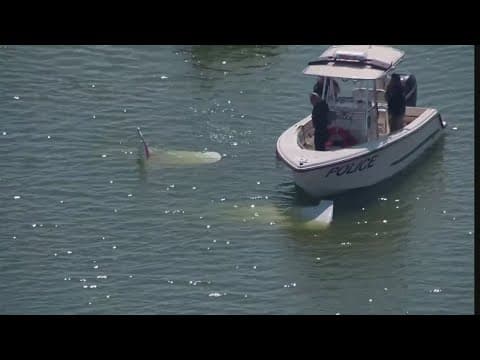One man dead after plane crash into Eagle Mountain Lake in Tarrant County, officials say