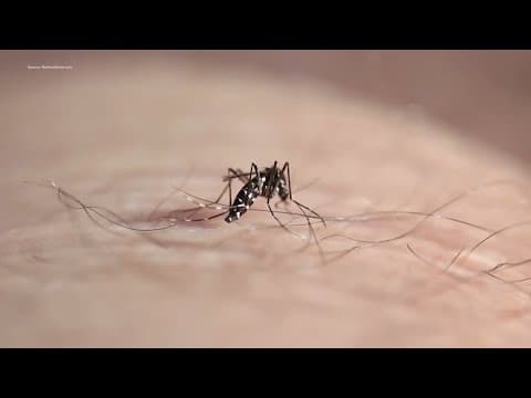 West Nile Virus case reported in Tarrant County
