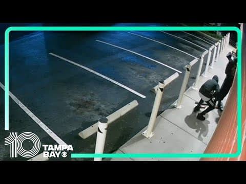 Two men caught on video stealing guns in Tampa