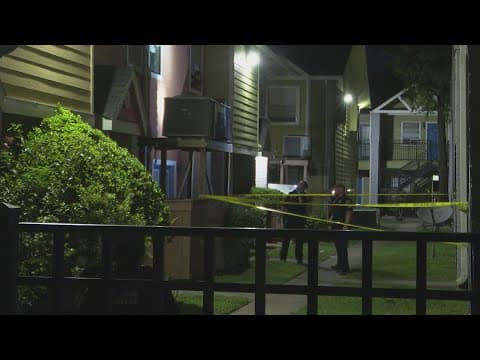 Armed man shot, killed during family violence call, HPD says