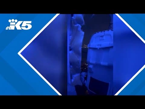 FAA has doubled its enforcement cases against Boeing since a door plug blew off a 737 Max