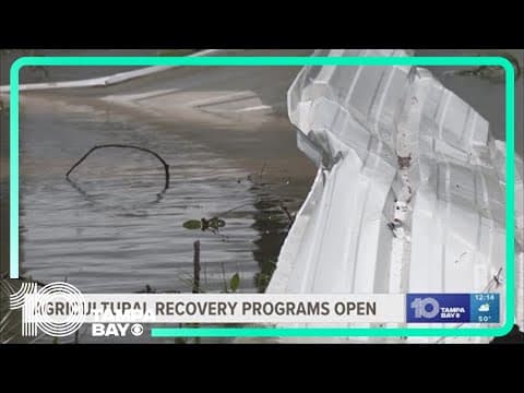 Programs offer recovery to devastated farms in Florida