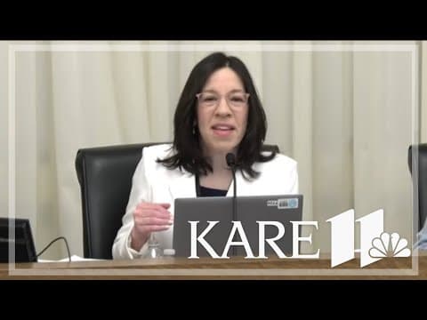 DHS commissioner testifies at fraud committee