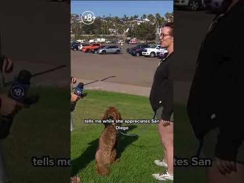 Mission Bay residents weigh in on San Diego Police Department's parking enforcement crackdown