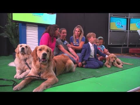 Meet Bradford | Helping launch a Resident Canine Therapy Program at Rady Children’s in San Diego