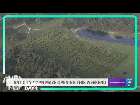 Plant City corn maze opening this weekend