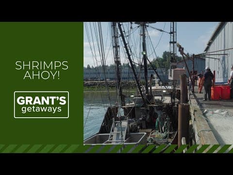 Astoria pub spotlights Oregon pink shrimp