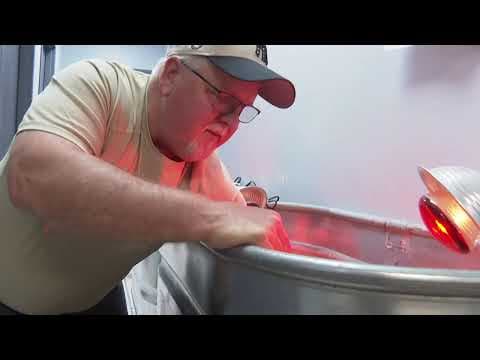 Thousands of chickens survive USPS mishap to drain shelter resources