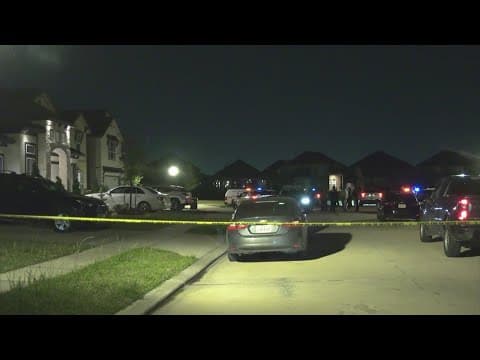 Wife of Harris Co. justice of the peace allegedly shot, killed nephew-in-law: HCSO