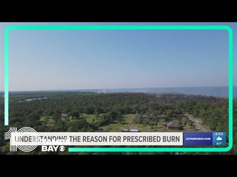 Why do forest workers do controlled burns?