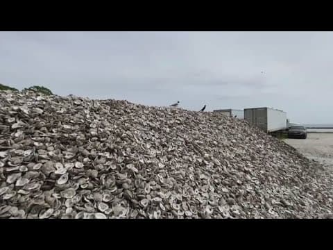 Architect makes concrete using oyster shells