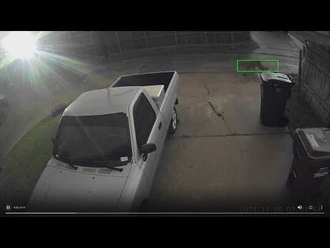 A third mountain lion sighting shocks residents in Plano