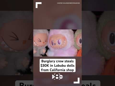 Burglars steal $30K in rare Labubu dolls from California store