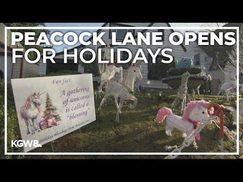 Portland's Peacock Lane lights up for the holidays