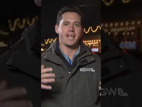 Armed robber hits #Portland pet store, pistol whipping employee