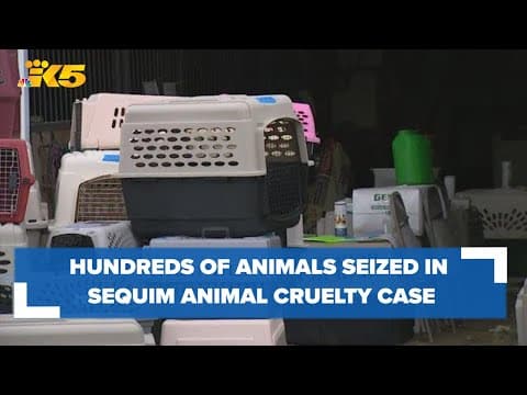 Hundreds of animals seized in Sequim animal cruelty case
