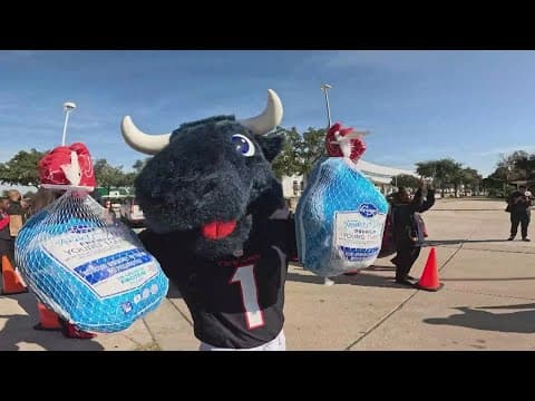 Texans hand out free turkeys at NRG