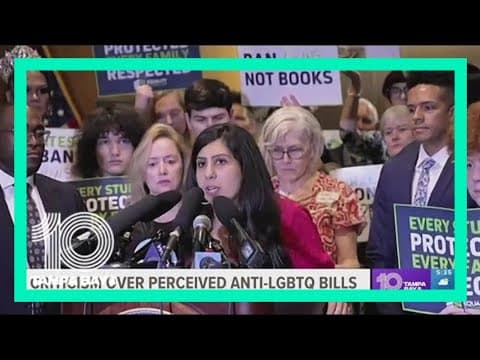 Proposed Florida bills perceived as anti-LGBTQ slammed by opponents